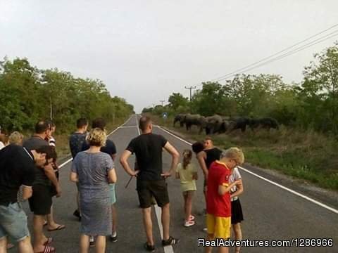 Experience the REAL Adventure in Northern Ghana | Kumasi, Ghana | Wildlife & Safari Tours | Image #1/6 | 