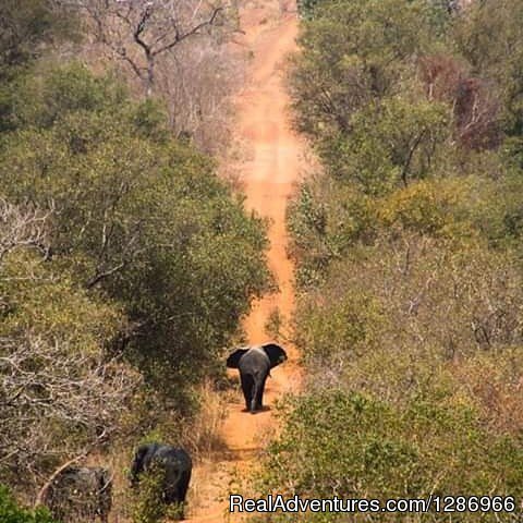 Experience the REAL Adventure in Northern Ghana | Image #3/6 | 