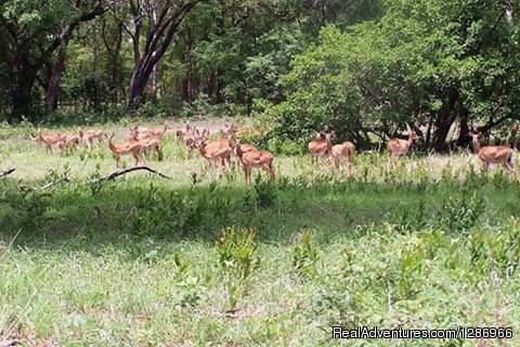 Experience the REAL Adventure in Northern Ghana | Image #4/6 | 