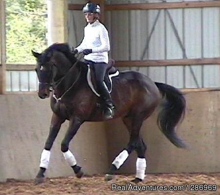 Welcome Home Farm  -  Horse Training | Welcome Home Farm Riding Center | Greene, Maine  | Horseback Riding & Dude Ranches | Image #1/1 | 