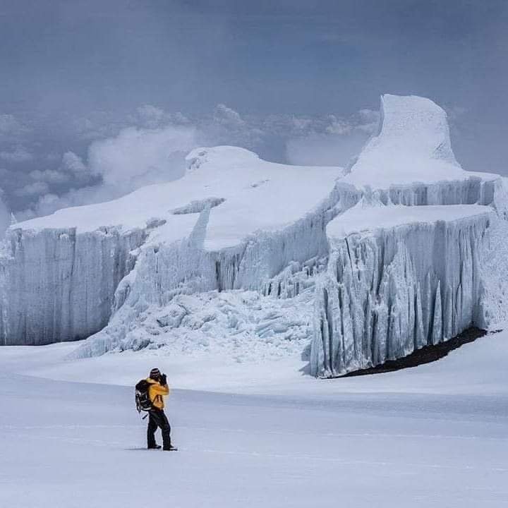 Kilimanjaro Hiking  Snows | Check For Trekking Kilimanjaro And Safari Tours | Image #3/5 | 