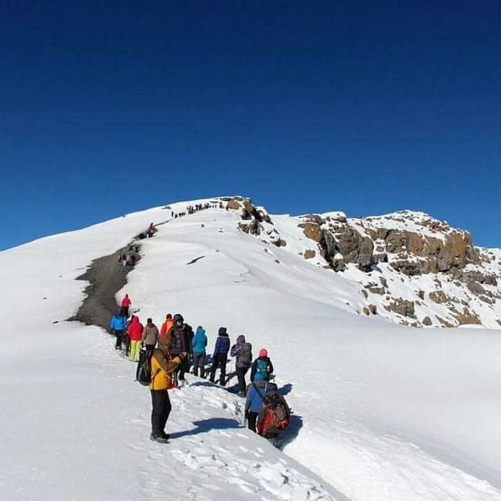 Hiking To Summit | Check For Trekking Kilimanjaro And Safari Tours | Image #5/5 | 