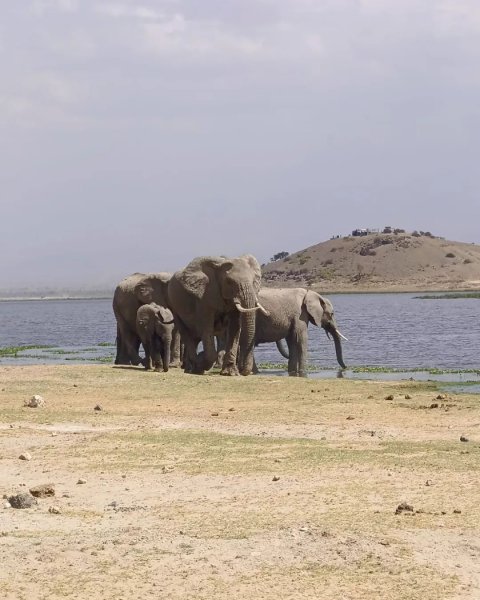 Masai Mara