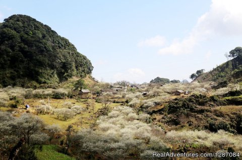 Mai Chau