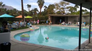 Mr. Palm Springs Mid-Century Architecture Tour