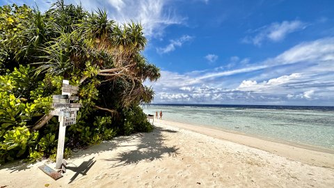 Tourist Beach