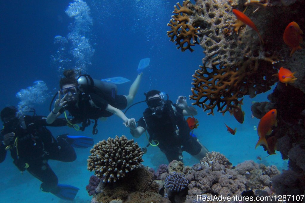 Maldives Boat Club Pvt Ltd | Ari Atoll, Maldives | Scuba Diving & Snorkeling | Image #1/4 | 