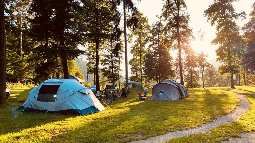 Meadow With Tent Pitches And Mountain View | Forest Camping Mozirje | Image #14/29 | 