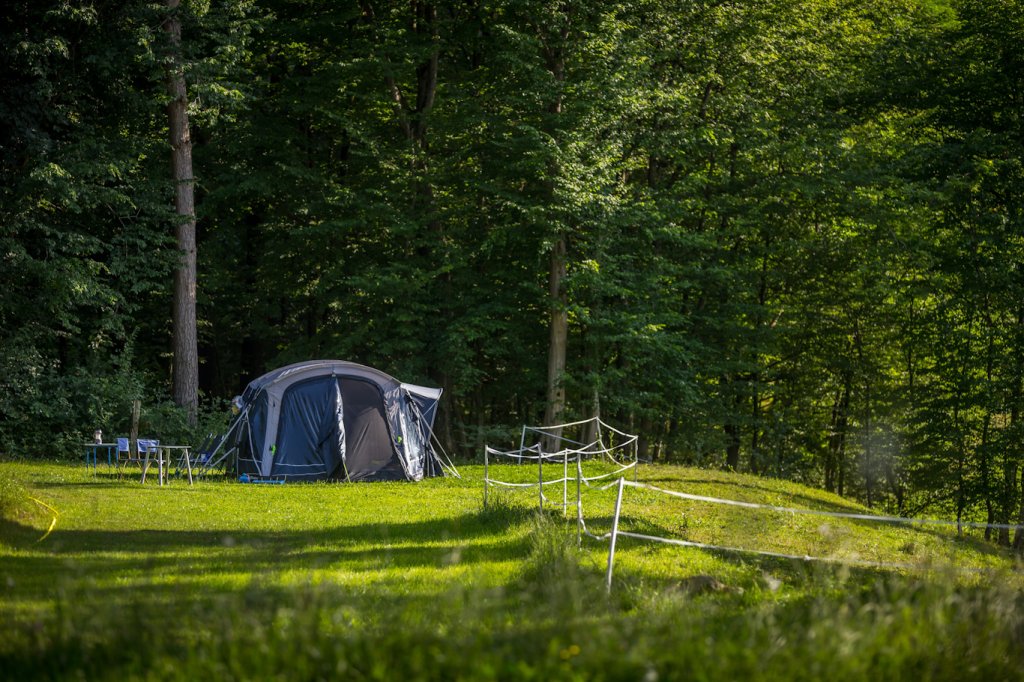 Meadow With Tent Pitches And Mountain View | Forest Camping Mozirje | Image #11/29 | 