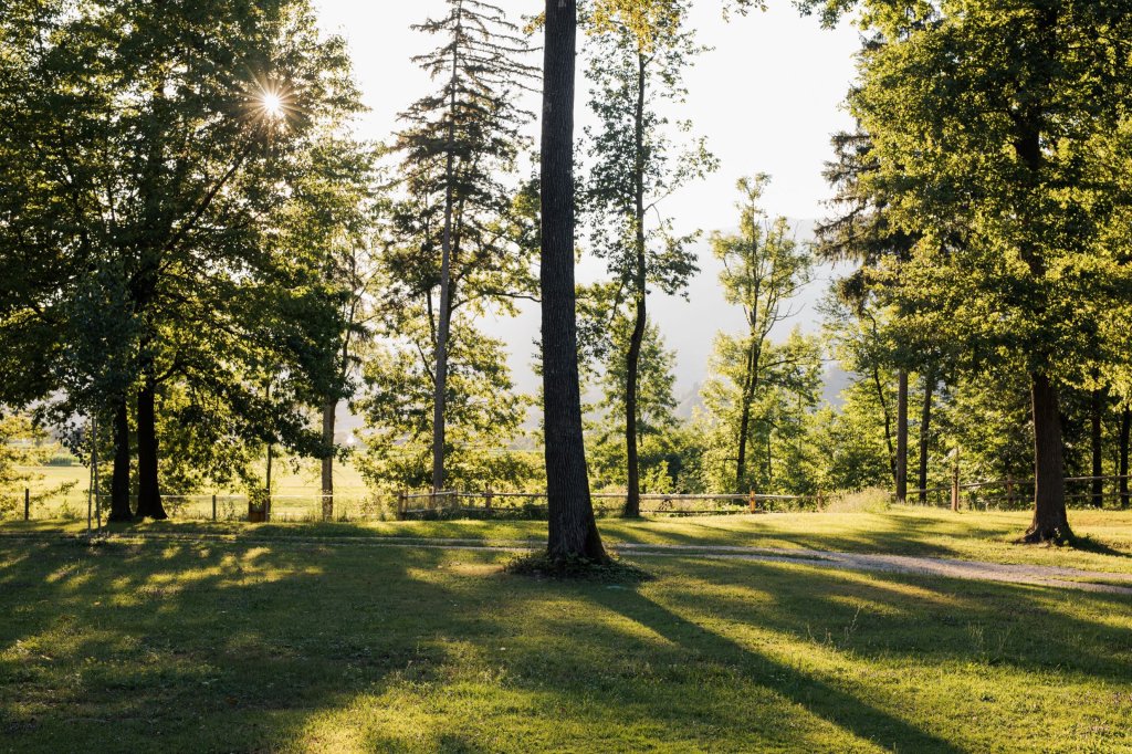 Meadow With Pitches And Mountain View | Forest Camping Mozirje | Image #6/29 | 