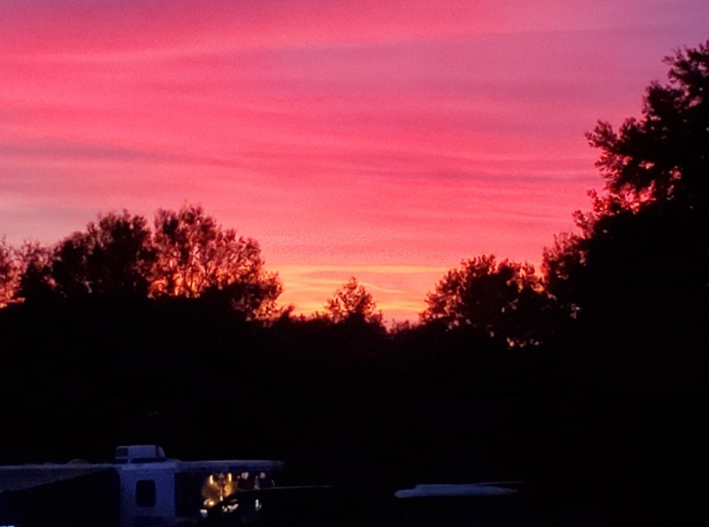 Sunset | Peaceful get away on the forest at Black Horse | Umatilla, Florida  | Campgrounds & RV Parks | Image #1/1 | 