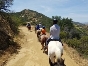 Unlock a world of majestic peace horseback riding