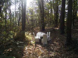 Italian cooking class and lunch in the wood | Sesto Calende, Italy | Cooking Classes & Wine Tasting