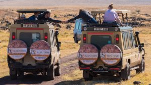 4 Days Tanzania Lodge Safari | Kilimanjaro, Tanzania Wildlife & Safari Tours | Great Vacations & Exciting Destinations