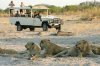 Adorable Travel and Tours | Livingstone, Zambia