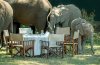 Tours And Safaris To East Africa | Nairobi, Kenya