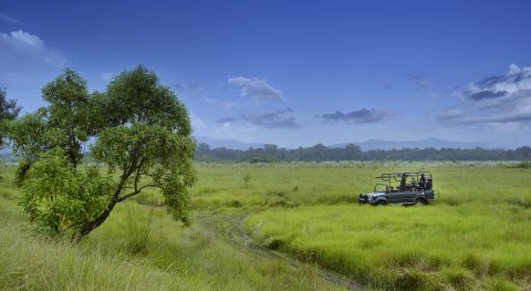 Chitwan Jeep Safari