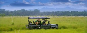 Wildlife & Safari Tours | Kathmandu, Nepal, Nepal | Wildlife & Safari Tours