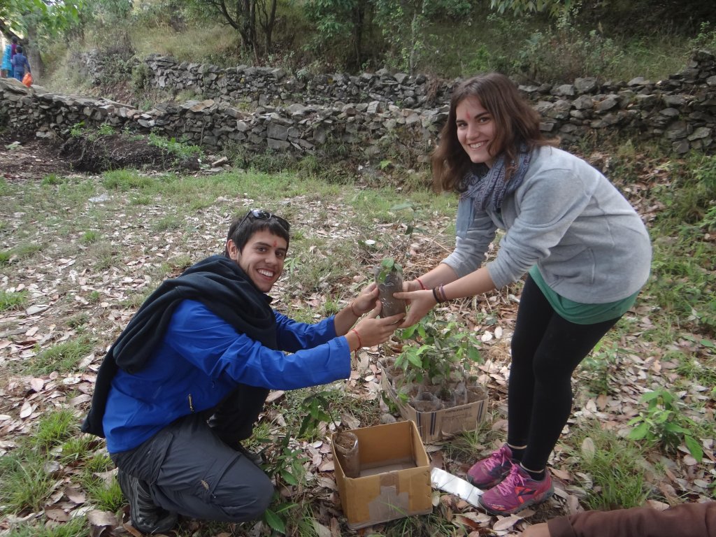 Planting Saplings | Life in a Pahadi Village | Image #4/4 | 