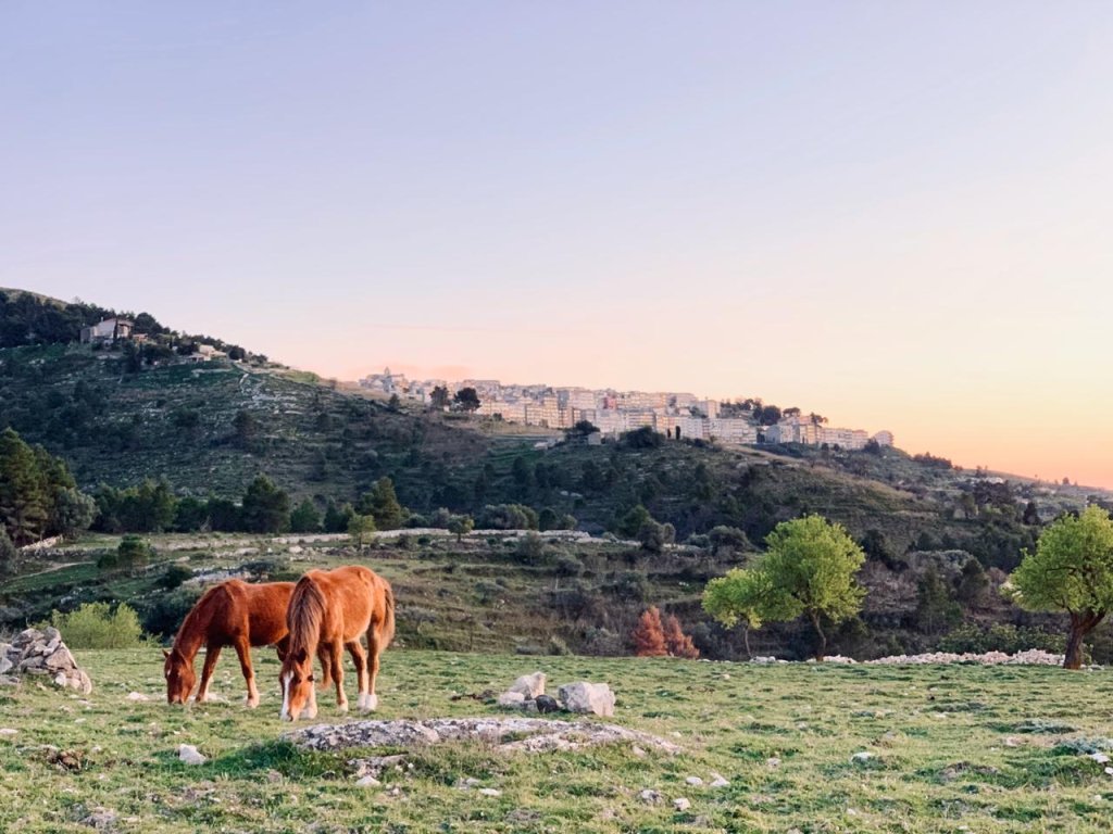 Unexplored Sicily - A Gastronomic Experience | Image #13/16 | 