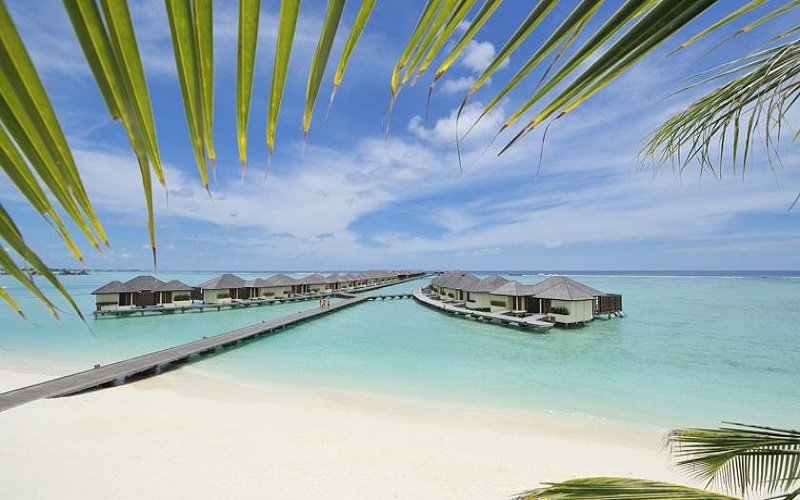 Maldives Package | Image #2/5 | 