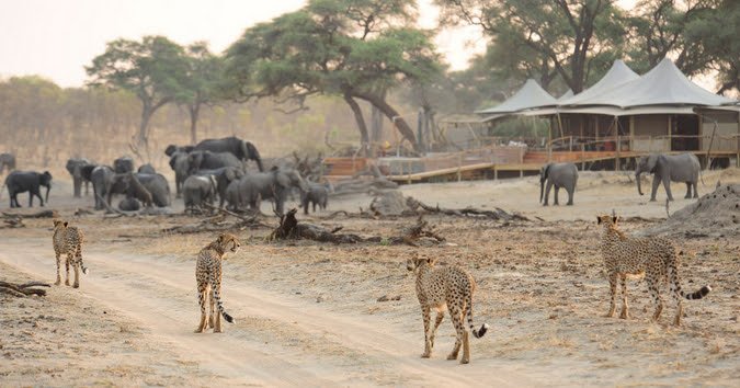 Masai Mara Safari | Image #4/29 | 