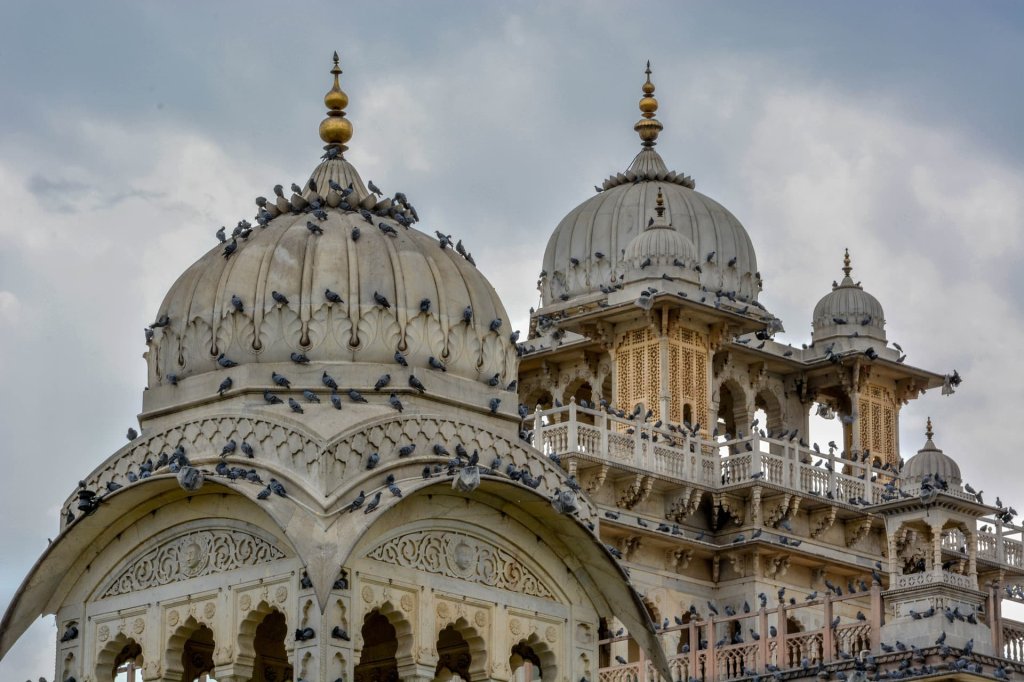 Private Golden Triangle India Tour | Image #25/27 | 