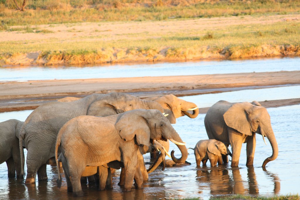 Tarangire Tours | 4 Days Tanzania Private Safari | Image #2/4 | 