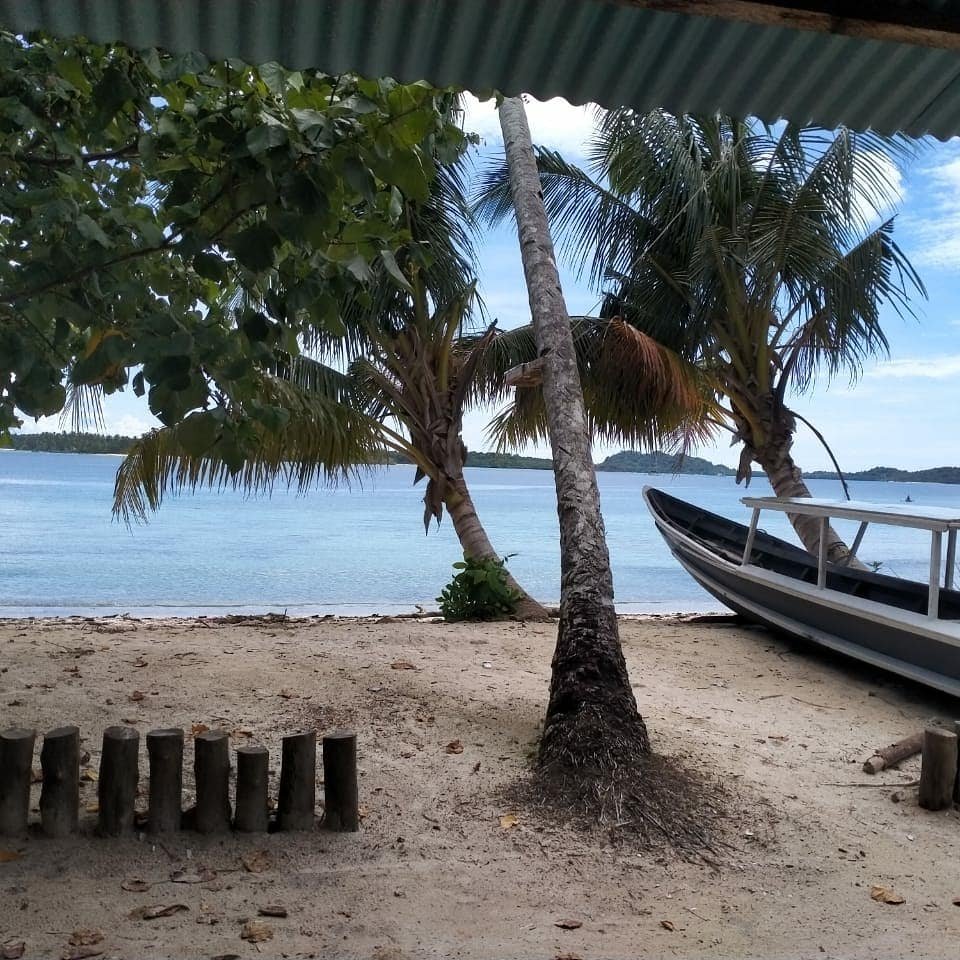 Mentawai Surfing Barrels | Lets Explore West Sumatra | Image #3/5 | 