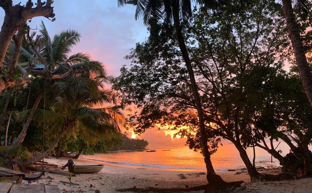 Mentawai Surfing Barrels | Lets Explore West Sumatra | Image #5/5 | 