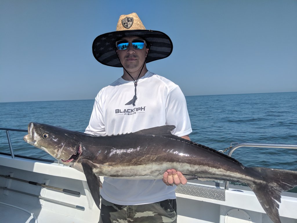 Williamsburg Cobia Fishing | Fun fishing Charter Williamsburg Virginia | Image #3/5 | 