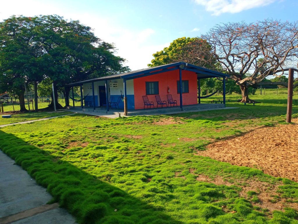 Pantanal Tour | Image #10/36 | 