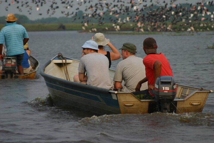 Pantanal Tour | Image #22/36 | 