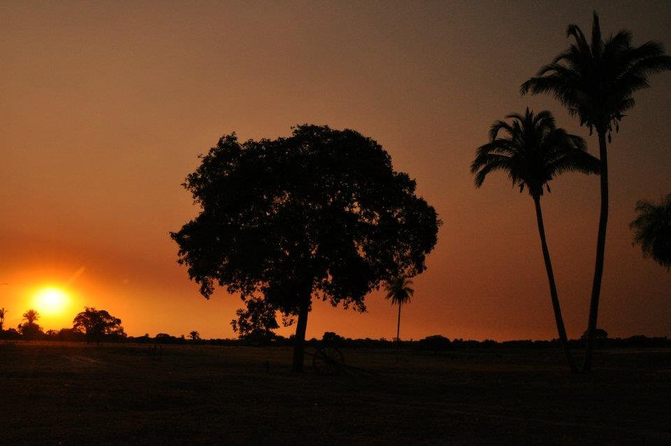 Pantanal Tour | Pantanal, Brazil | Hiking & Trekking | Image #1/36 | 