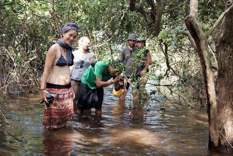 Pantanal Tour | Image #35/36 | 