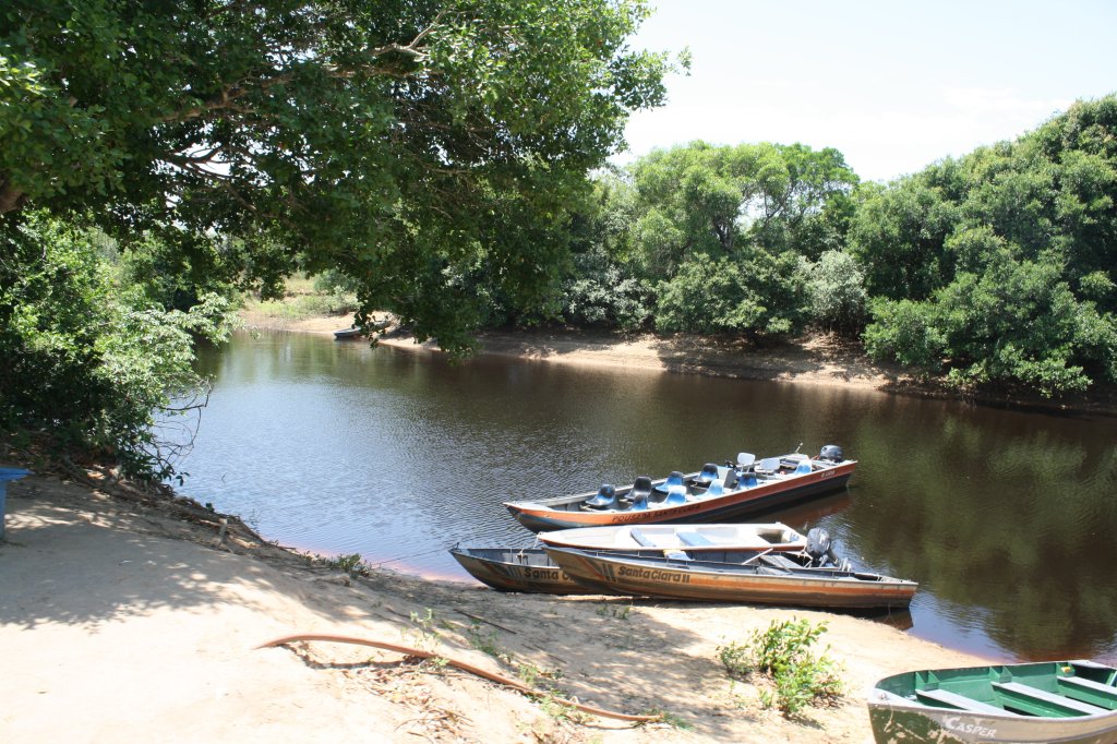 Pantanal Tour | Image #20/36 | 