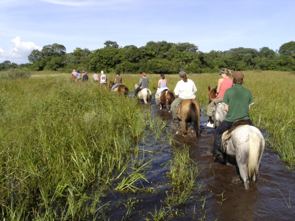 Pantanal Tour | Image #27/36 | 