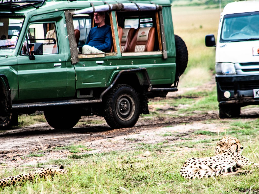 3 Days Masai Mara Group Adventure Camping Tour | Image #2/6 | 