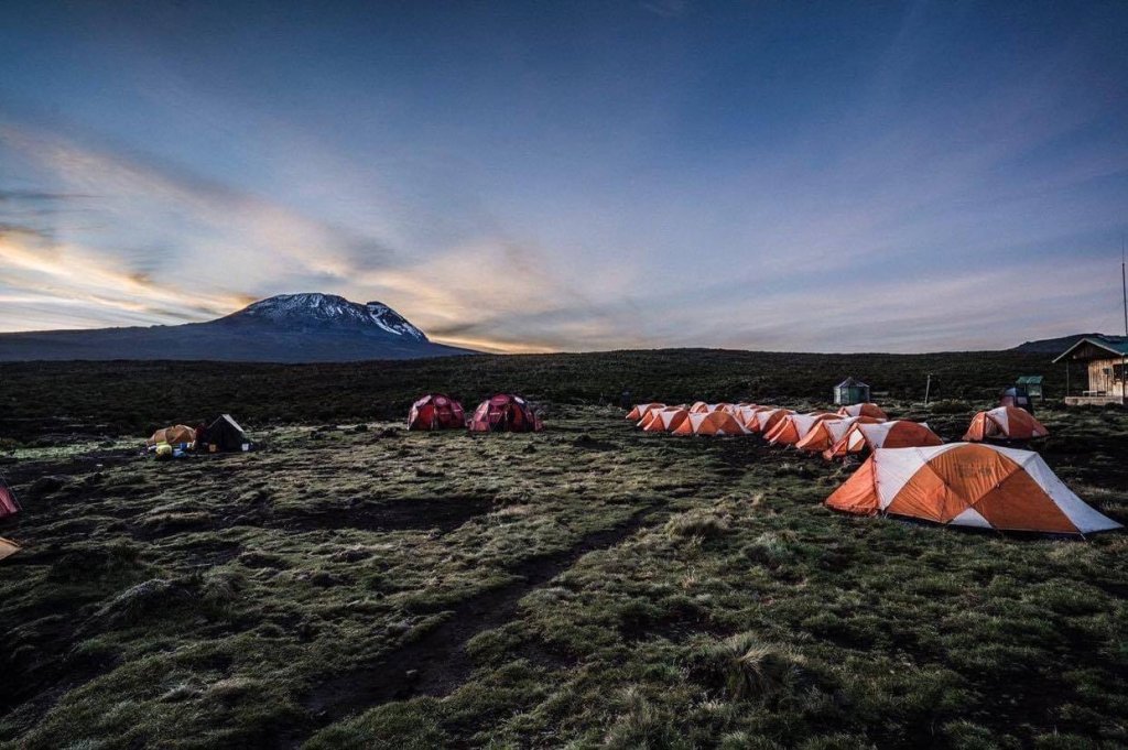 Amazing Mt. Kilimanjaro Climbs & Serengeti Safaris | Image #17/20 | 