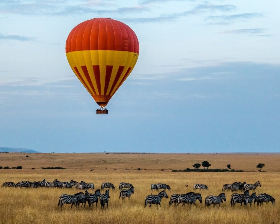 Amazing Mt. Kilimanjaro Climbs & Serengeti Safaris | Image #20/20 | 