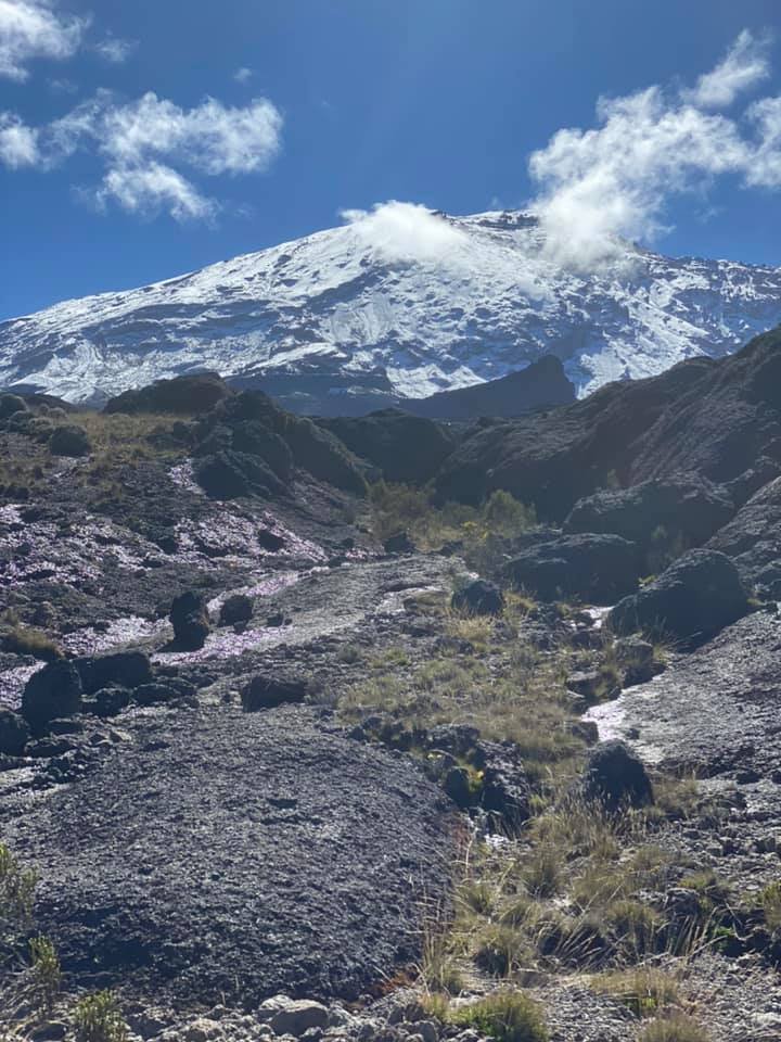 Kibu Peak | Amazing Mt. Kilimanjaro Climbs & Serengeti Safaris | Image #4/20 | 