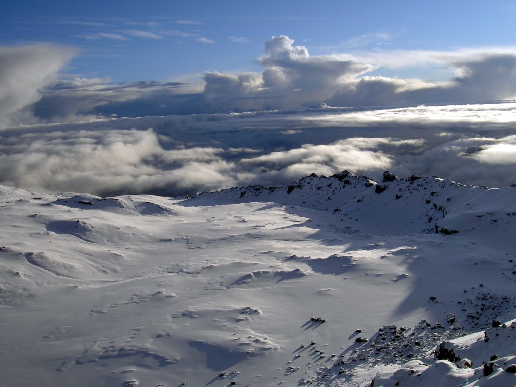 Amazing Mt. Kilimanjaro Climbs & Serengeti Safaris | Image #19/20 | 