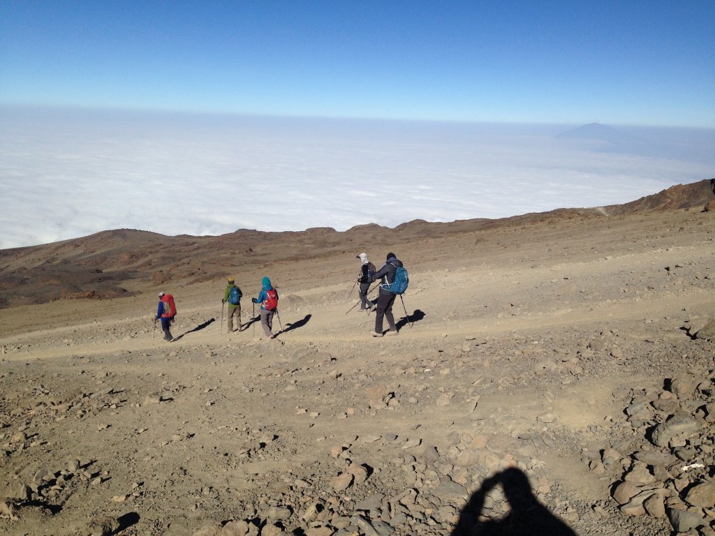 Amazing Mt. Kilimanjaro Climbs & Serengeti Safaris | Image #16/20 | 