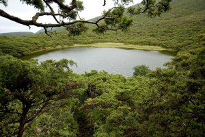 Hiking Trails In Terceira Island, Azores