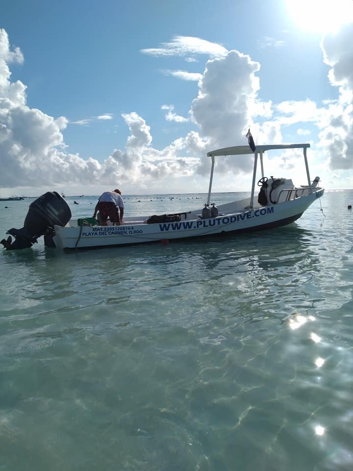 Scuba Diving Playa Del Carmen With Pluto Dive | Playa Del Carmen, Mexico | Scuba Diving & Snorkeling | Image #1/5 | 