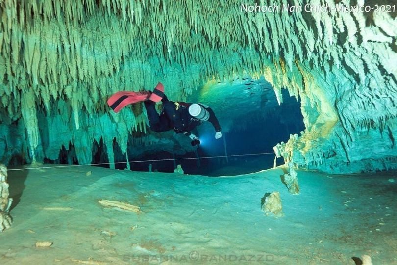 Scuba Diving Playa Del Carmen With Pluto Dive | Image #5/5 | 