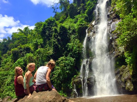 Kilimanjaro Waterfalls From Moshi