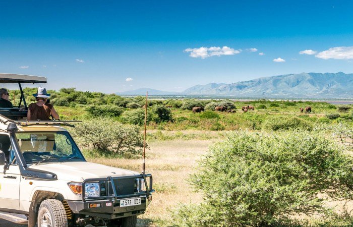 Tanzania Tour Safari - Tanzania Safari Specialist | 5 Days Safari Tours in Northern Tanzania | Arusha, Tanzania | Wildlife & Safari Tours | Image #1/8 | 