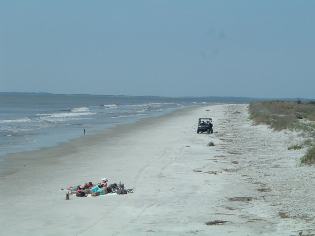 Sapelo Island Half Day Tour | Image #2/12 | 