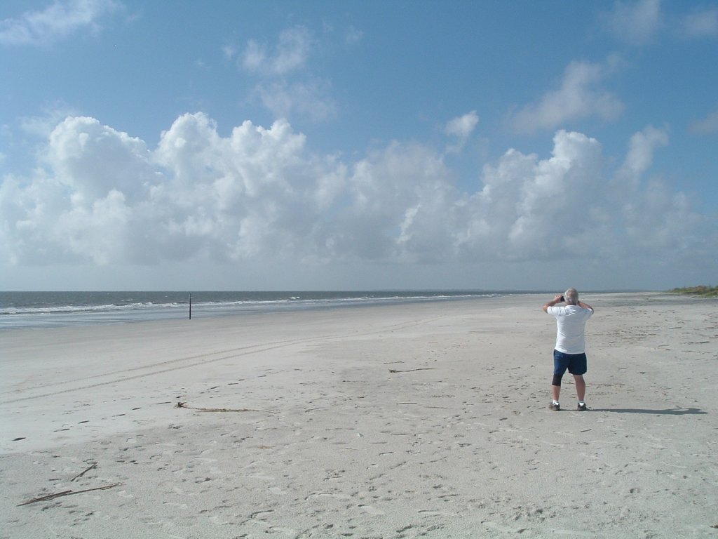 Sapelo Island Half Day Tour | Image #11/12 | 